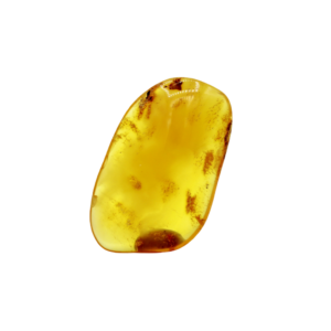 Bitterfelder Naturbernstein klar poliert 15 g