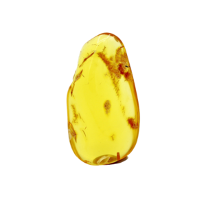 Bitterfelder Naturbernstein klar poliert 13 g