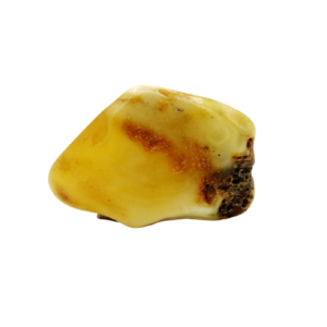 Bitterfelder Naturbernstein gelb/marmoriert poliert 11 g