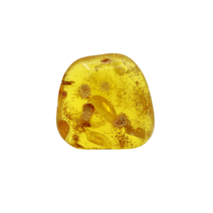 Bitterfelder Naturbernstein gelb/klar poliert 14 g