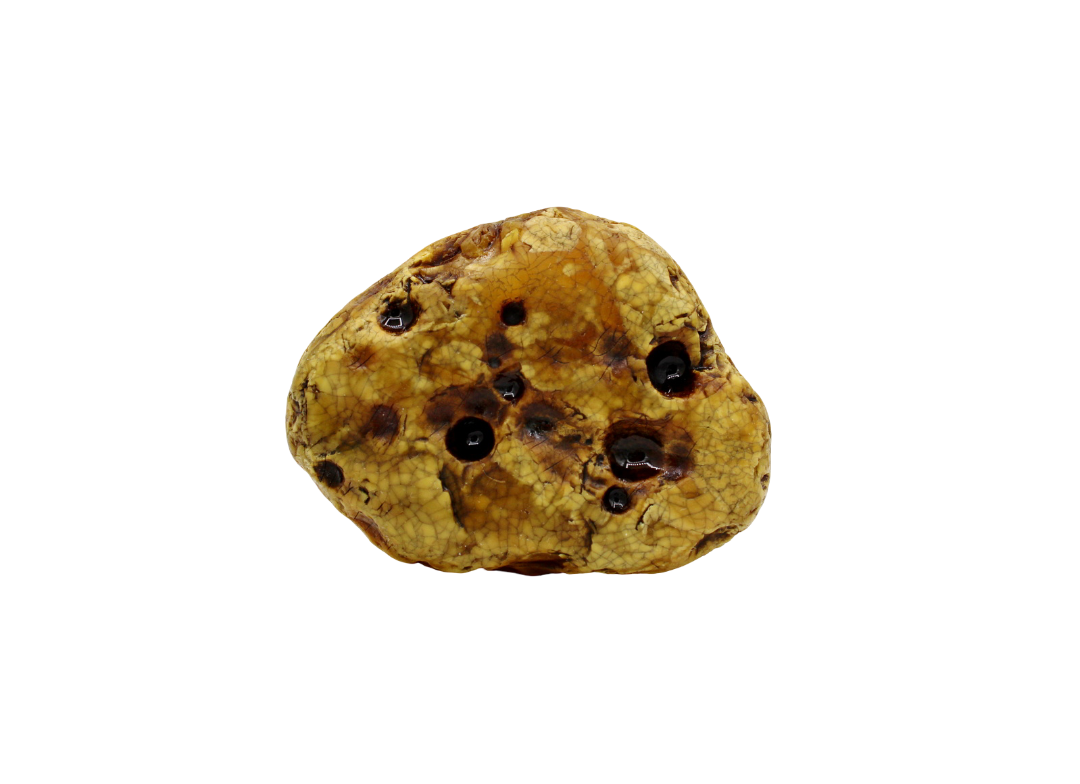 Rohbernstein aus Bitterfeld 35 g, gelb/marmoriert – Bild 4