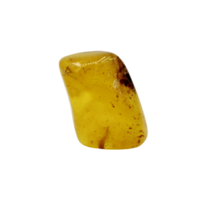 Bitterfelder Naturbernstein klar/gelb poliert 15 g