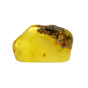 Bitterfelder Naturbernstein gelb/klar poliert 17 g