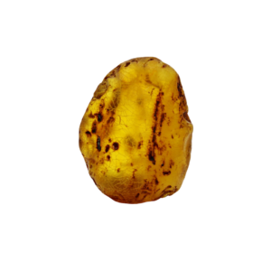Rohbernstein aus Bitterfeld 16 g, klar/gelb