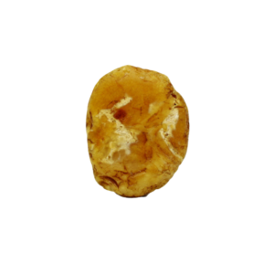 Rohbernstein aus Bitterfeld 21 g, gelb/marmoriert