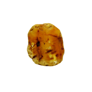 Rohbernstein aus Bitterfeld 22 g, gelb/marmoriert