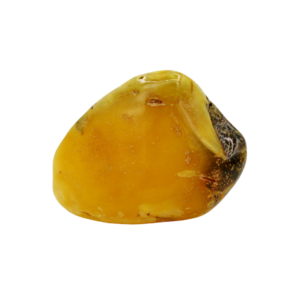 Bitterfelder Naturbernstein gelb poliert 32 g