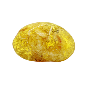 Bitterfelder Naturbernstein gelb/klar poliert 15 g